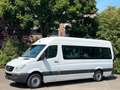 Mercedes-Benz Sprinter 313 Cdi Maxi 9Sitze Rollstuhllift Klima Blanco - thumbnail 1