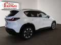 Mazda CX-5 G141 2WD HOMURA PANO NEU NEU NEU Weiß - thumbnail 13