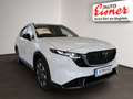 Mazda CX-5 G141 2WD HOMURA PANO NEU NEU NEU Weiß - thumbnail 17