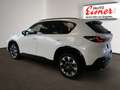 Mazda CX-5 G141 2WD HOMURA PANO NEU NEU NEU Weiß - thumbnail 11