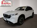 Mazda CX-5 G141 2WD HOMURA PANO NEU NEU NEU Weiß - thumbnail 3