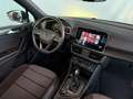SEAT Tarraco Xcellence 2,0 TDI DSG 4Drive Grün - thumbnail 11