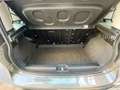 Fiat Panda 1.0 FireFly S&S Hybrid Garmin Grigio - thumbnail 11