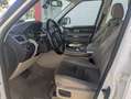 Land Rover Range Rover Sport 5.0 V8 Supercharged Weiß - thumbnail 12