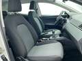 SEAT Ibiza 1.0 TSI REFERENCE 95CV 5P Wit - thumbnail 20