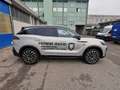 Tiger Sonstige EIGHT  1.5T DI 7DCT  GPL Grau - thumbnail 6