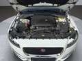 Jaguar XF Sportbrake 20d AWD Prestige Aut. Weiß - thumbnail 21