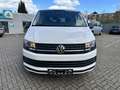 Volkswagen T6 Kombi 110kw/ 9 Sitzer / Anhängerkupplung /Tüv 8/26 Weiß - thumbnail 2