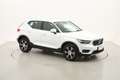 Volvo XC40 Inscription Geartronic 2.0 Diesel 150CV Bianco - thumbnail 6