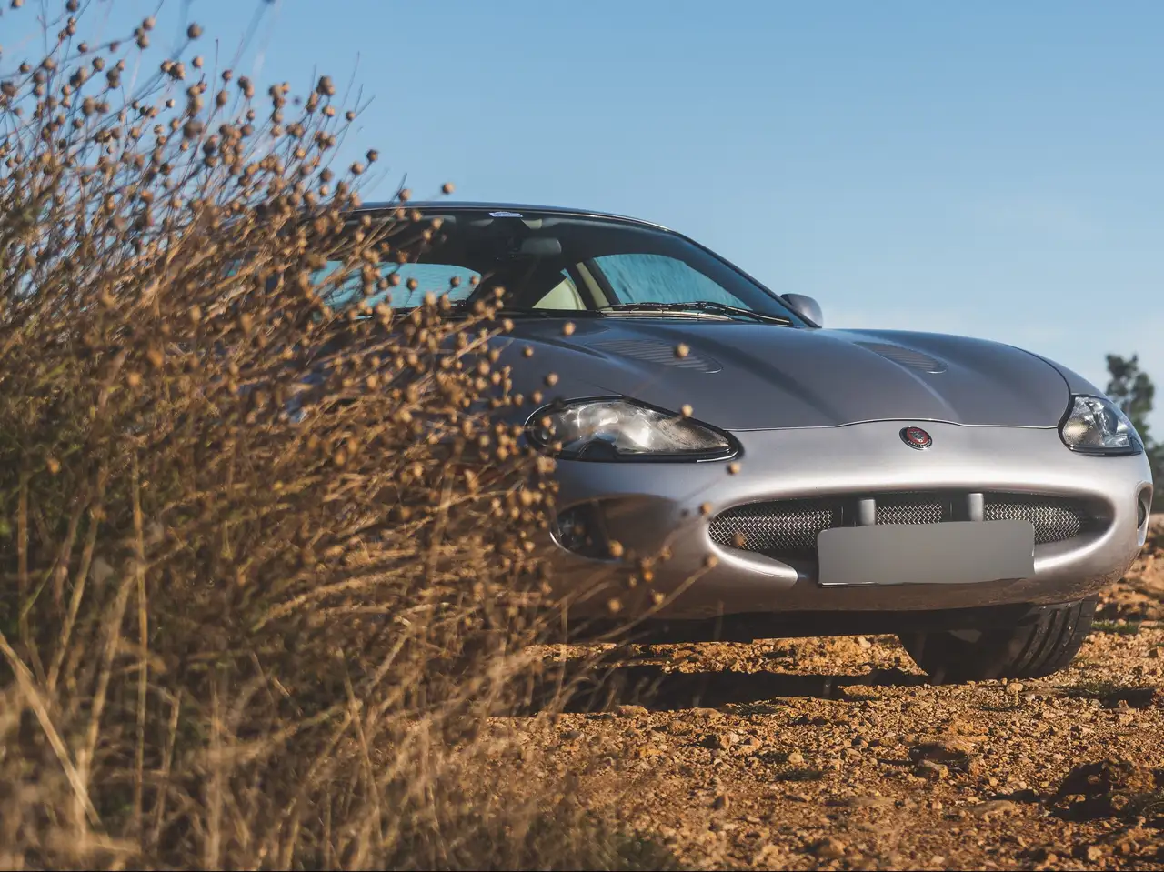 Jaguar XKR x100 4.0, foto 8