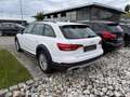 Audi A4 allroad quattro 2.0TDI*S-tro AHK Navi Bi-Xen Weiß - thumbnail 5