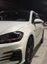 Volkswagen Golf GTI GOLF GTI 7.5 DSG FULL - thumbnail 1