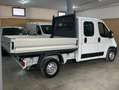 Fiat Ducato 2.0 M-jet 115CV DOPPIA CABINA 7 Posti CASSONE Blanc - thumbnail 3