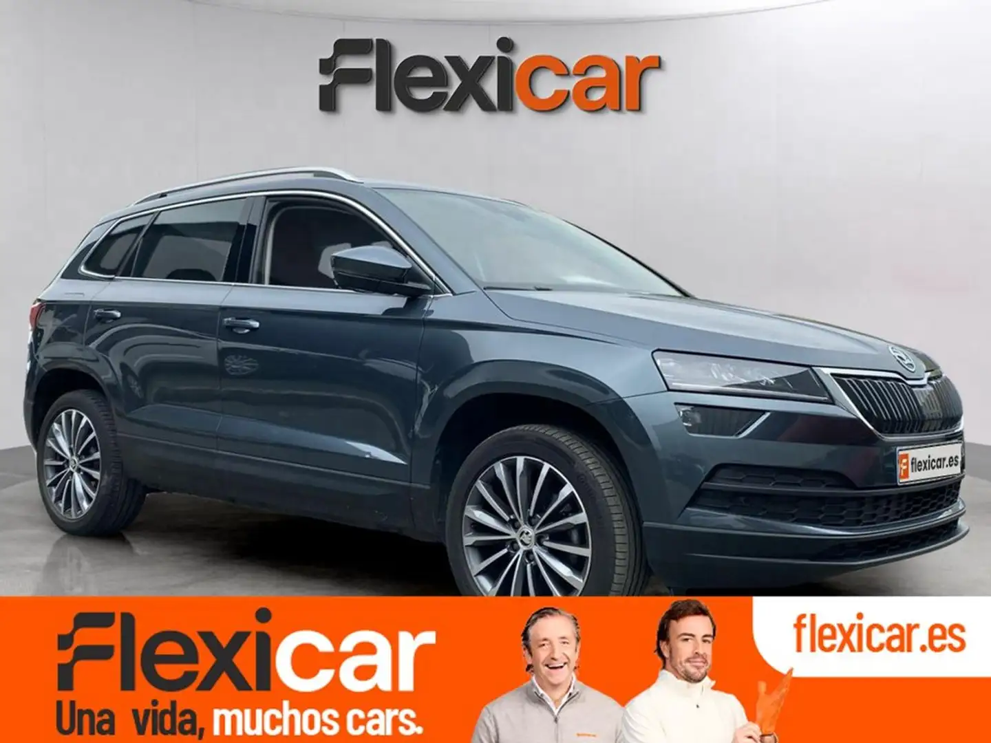 Skoda Karoq 1.6TDI AdBlue Ambition Gris - 1