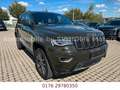 Jeep Grand Cherokee 3.0l V6 MultiJet 75th Anniversary Grün - thumbnail 7