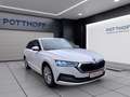 Skoda Octavia Combi 2.0 TDI STYLE NAVI LED SITZHZG PDC Weiß - thumbnail 6