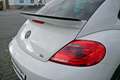 Volkswagen New Beetle R-Line 2.0 TSI Pano Soundsystem Navi Bi-Xenon 1... Білий - thumbnail 37