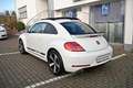 Volkswagen New Beetle R-Line 2.0 TSI Pano Soundsystem Navi Bi-Xenon 1... Білий - thumbnail 7