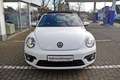 Volkswagen New Beetle R-Line 2.0 TSI Pano Soundsystem Navi Bi-Xenon 1... Білий - thumbnail 3