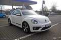 Volkswagen New Beetle R-Line 2.0 TSI Pano Soundsystem Navi Bi-Xenon 1... Білий - thumbnail 4