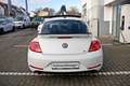 Volkswagen New Beetle R-Line 2.0 TSI Pano Soundsystem Navi Bi-Xenon 1... Білий - thumbnail 6