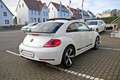 Volkswagen New Beetle R-Line 2.0 TSI Pano Soundsystem Navi Bi-Xenon 1... Білий - thumbnail 5