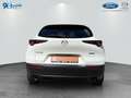 Mazda CX-30 e-SKYACTIV-X 2.0 M HYBRID SELECTION Weiß - thumbnail 5