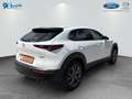 Mazda CX-30 e-SKYACTIV-X 2.0 M HYBRID SELECTION Weiß - thumbnail 13
