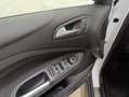 Ford C-Max Titanium 1,0 EcoBoost Weiß - thumbnail 12