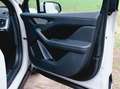 Jaguar I-Pace I-Pace EV320 AWD SE Grijs - thumbnail 24