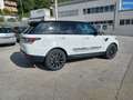 Land Rover Range Rover Sport 2.0 SD4 240cv SE Bianco - thumbnail 14
