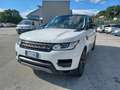 Land Rover Range Rover Sport 2.0 SD4 240cv SE Bianco - thumbnail 2
