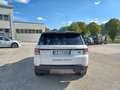 Land Rover Range Rover Sport 2.0 SD4 240cv SE Blanc - thumbnail 16