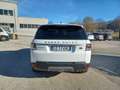 Land Rover Range Rover Sport 2.0 SD4 240cv SE Bianco - thumbnail 11