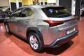 Lexus UX 250h Business Navigation 2WD Grau - thumbnail 6