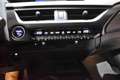 Lexus UX 250h Business Navigation 2WD Grau - thumbnail 37