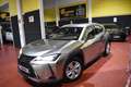 Lexus UX 250h Business Navigation 2WD Grau - thumbnail 9