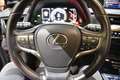 Lexus UX 250h Business Navigation 2WD Grau - thumbnail 32