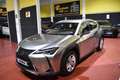 Lexus UX 250h Business Navigation 2WD Grau - thumbnail 1