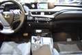 Lexus UX 250h Business Navigation 2WD Grau - thumbnail 50