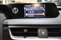 Lexus UX 250h Business Navigation 2WD Grau - thumbnail 33