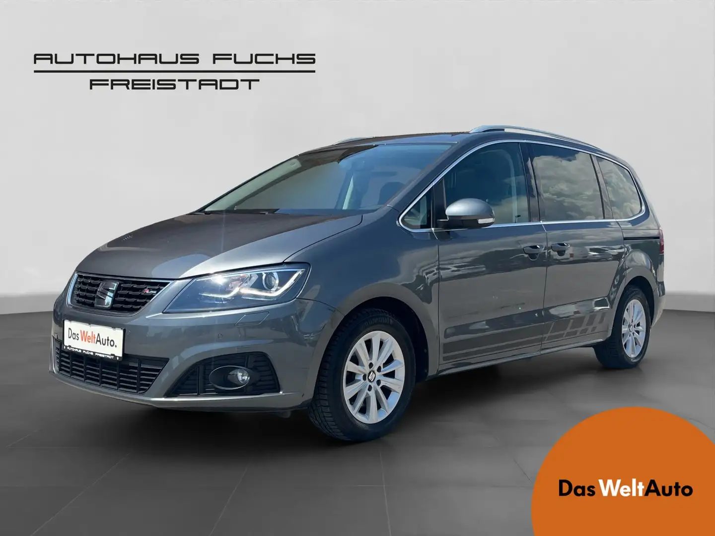 SEAT Alhambra FR TDI 4Drive Gris - 1