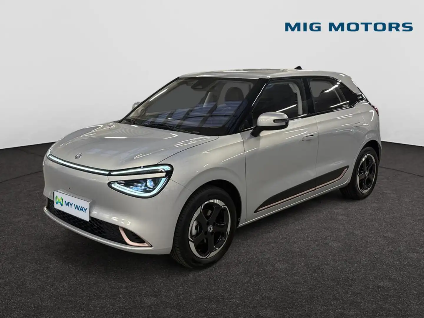 Dongfeng Box Box 42.3 kW Premium Edition Silber - 1