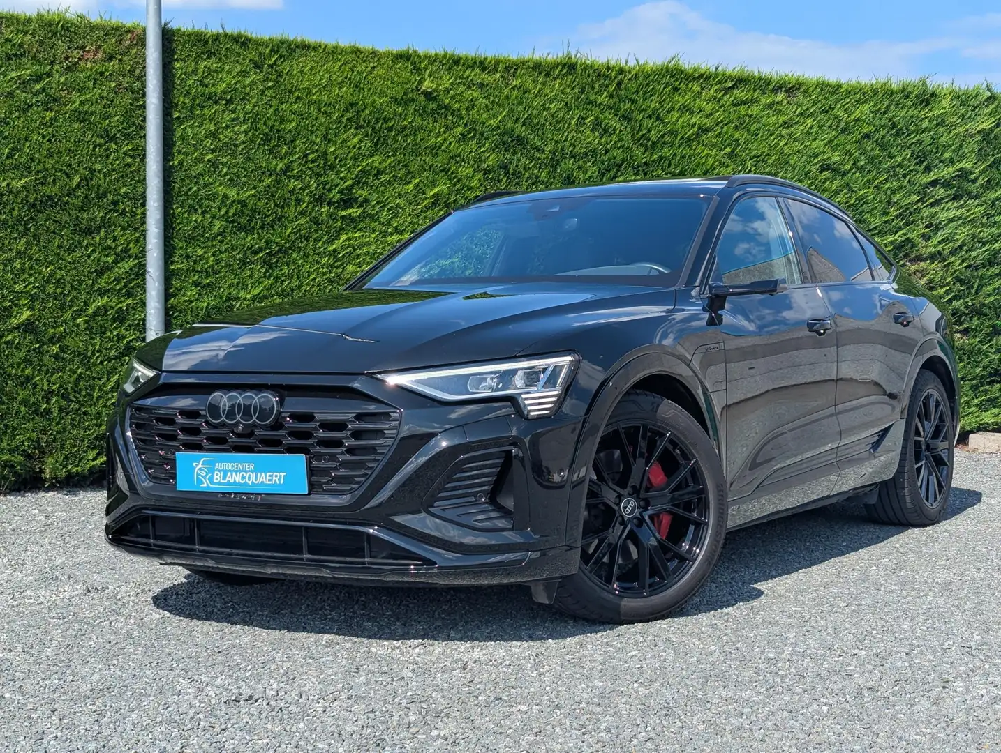 Audi Q8 e-tron Sportback - 2x s-line + black style - opendak Negru - 1