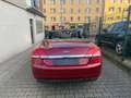 Ford Focus Cabrio Trend TÜV NEU*SEHR SAUBER Rot - thumbnail 5
