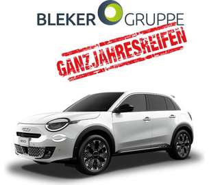 Business Edition mit 17" Alu und Allwetterreifen🔥