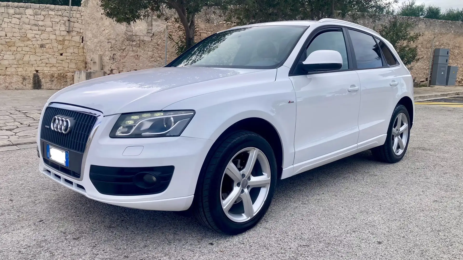 Audi Q5 2.0 tdi quattro 170cv S-Line - 1