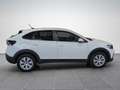Volkswagen Taigo 4Me TSI Weiß - thumbnail 7