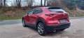 Mazda CX-30 X180 GT+ Rouge - thumbnail 6
