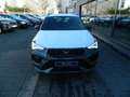 CUPRA Ateca CUPRA Ateca 1.5 TSI 110 kW (150 PS) 7-Gang DSG Grün - thumbnail 2